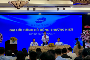 ĐHĐCĐ Gemadept: Tiếp tục lên kế hoạch mở rộng cảng Gemalink và Nam Đình Vũ
