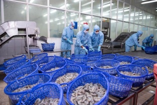 FMC: 6 tháng đầu năm 2023, lợi nhuận giảm 25,5% và dòng tiền âm 395 tỷ đồng