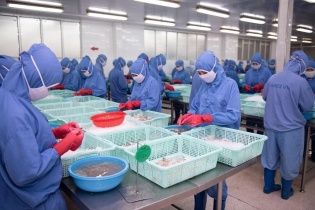 Thực phẩm Sao Ta bắt đầu ghi nhận doanh số tăng trưởng dương trong tháng 8/2023