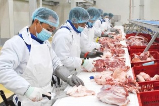 Sau tăng vay nợ, BaF Việt Nam muốn “bơm” trăm tỷ vào hai công ty con