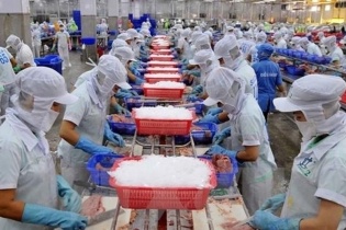 Nam Việt: Lợi nhuận quý III/2023 chỉ đạt 1,04 tỷ đồng, giảm 99,1% so với cùng kỳ