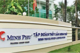 Trái với kỳ vọng hồi phục, Thủy sản Minh Phú tiếp tục lỗ trong quý III/2023