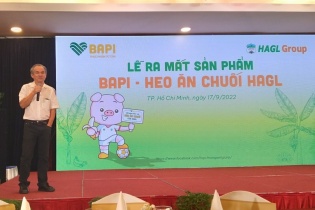 Hoàng Anh Gia Lai muốn rút lui khỏi chuỗi bán lẻ Bapi Hoàng Anh Gia Lai