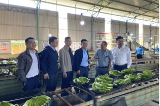 Hoàng Anh Gia Lai trả được một phần gói trái phiếu đến hạn ngày 30/12/2023