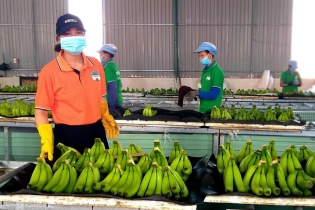 Con gái Chủ tịch Đoàn Nguyên Đức mua vào 1 triệu cổ phiếu HAG