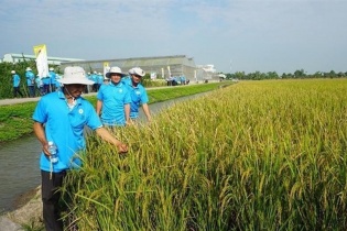 Lộc Trời giải trình về biến động lợi nhuận trong năm 2023 sau kiểm toán