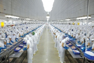 Lãi quý đầu năm 2024 của Vĩnh Hoàn tiếp tục giảm khi biên lợi nhuận gộp thu hẹp