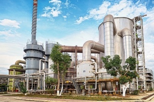 Hoá chất Đức Giang: Tách rời giữa kết quả kinh doanh và giá cổ phiếu nửa đầu năm