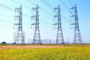 Tư vấn Xây dựng Điện 2 bị truy thu và xử phạt về thuế hơn 6,4 tỷ đồng
