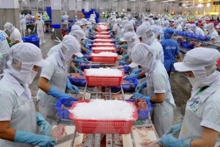 Nam Việt sắp trả cổ tức năm 2023 với tỷ lệ 5%