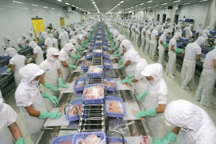 Doanh thu tháng 10/2025 của Vĩnh Hoàn giảm 11%, về 1.076 tỷ đồng