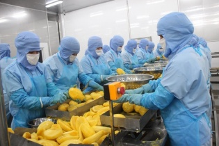 Thực phẩm An Giang muốn phát hành cổ phiếu trả cổ tức năm 2024