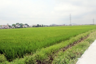 Hải Dương loại 5 cụm công nghiệp khỏi quy hoạch