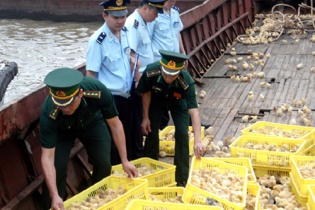 Quảng Ninh: Bắt giữ 226 vụ buôn lậu trong 5 tháng 