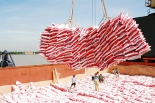 Xuất khẩu gạo sang châu Phi, Tây Á có tín hiệu vui 