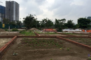 Hà Nội: Muốn đấu giá đất phải có vốn bằng 15-20% tổng mức đầu tư dự án