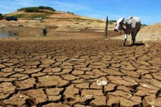 Việt Nam tổ chức Hội nghị Đối thoại cấp cao về biến đổi khí hậu