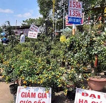 Chiều 30 hoa tết bắt đầu giảm mạnh