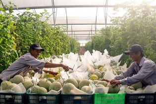 Bình Dương lấy nông nghiệp công nghệ cao làm chiến lược hút vốn đầu tư 