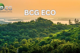 Bamboo Capital thành lập công ty trồng và chăm sóc rừng BCG Eco