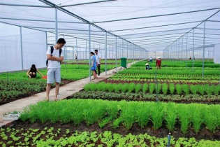 Vùng Nam Trung Bộ: Chỉ có một mô hình chăn nuôi đạt tiêu chuẩn Vietgap
