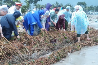 Người dân Đà Nẵng đội mưa ra quân dọn dẹp vệ sinh để kịp đón APEC