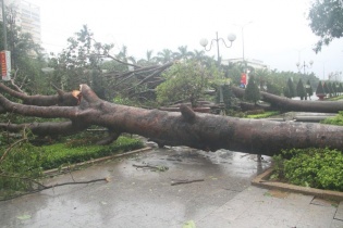 Hoàn lưu bão số 5 tại miền Trung: Cây đổ, tàu thuyền trôi, nhà tốc mái, nước sông dâng cao