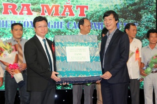 Phú Yên thành lập Hợp tác xã Lâm nghiệp công nghệ cao