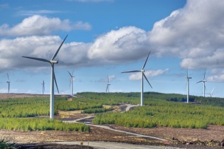 Phú Yên: Chấp thuận đầu tư dự án điện gió đầu tiên