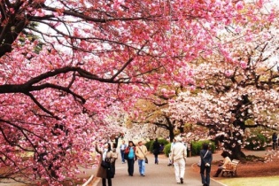 Du lịch sẽ là nội dung chủ đạo trong Sắc màu Nhật Bản mùa 3 