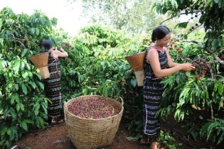 Tìm kiếm các sáng kiến kinh doanh vì phát triển bền vững  