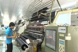 TNG sắp vận hành dây chuyền sản xuất bông trị giá 40 tỷ đồng