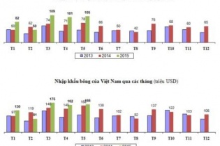 Ngành dệt may chi hơn 700 triệu USD nhập khẩu bông