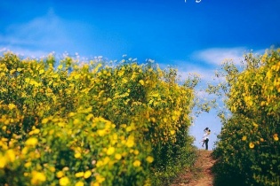 “Cơn lốc” giảm giá tour tại "Ngày hội khuyến mãi du lịch 2016"