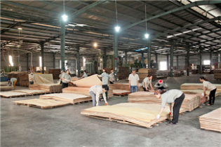 Gỗ dán Việt Nam bị Thổ Nhĩ Kỳ áp thuế chống bán phá giá lên tới 240 USD/m3.