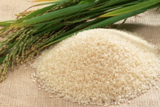 Gần 1 triệu tấn gạo tồn kho