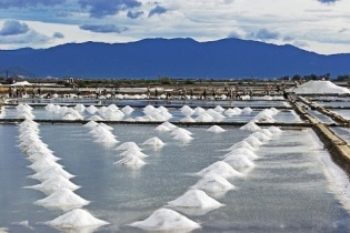 Khuyến khích hoạt động xuất khẩu muối