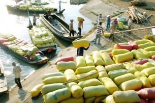 Lo cho xuất khẩu lúa gạo