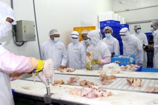 300 tấn thịt gà Việt lên đường sang Nhật Bản