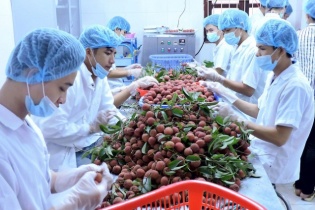 60 doanh nghiệp Quảng Đông, Hồng Kông giao thương tại Việt Nam