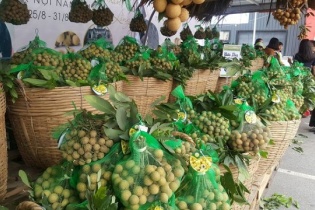 Khai mạc "Tuần lễ Nhãn lồng Hưng Yên tại Hà Nội năm 2017"