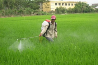 Phân bón, thuốc trừ sâu nhập khẩu “ngốn” 1,7 tỷ USD 