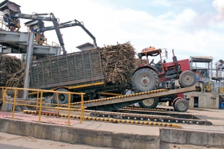 Cơ hội đầu tư vào sản xuất năng lượng trong ngành mía đường