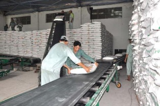 Ngành mía đường vật vã với 400.000 tấn hàng tồn, có nhà máy phải bán dưới giá thành