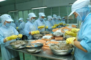Hàn Quốc kiểm tra sản xuất, chế biến tôm xuất khẩu Việt Nam