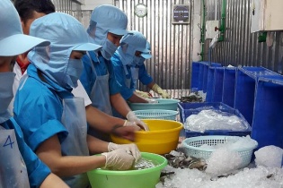 EVFTA đem lại “lợi ích đôi bên” cho doanh nghiệp châu Âu và Việt Nam