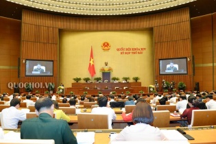 Đại biểu Nguyễn Anh Trí: nhiều lĩnh vực còn "chưa ổn, chưa an tâm, chưa hiệu quả"