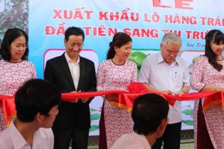 Lô vú sữa xuất khẩu đầu tiên của Vina T&T lên máy bay sang Mỹ
