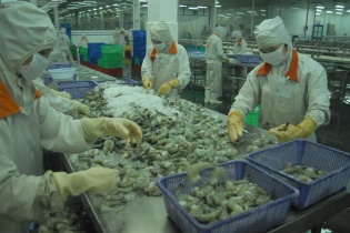 Doanh nghiệp tự chứng nhận xuất xứ khi xuất khẩu hàng hóa sang EU