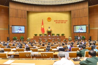 Quốc hội nghe báo cáo và thảo luận Dự án Luật Giáo dục (sửa đổi) và dự án Luật Kiến trúc